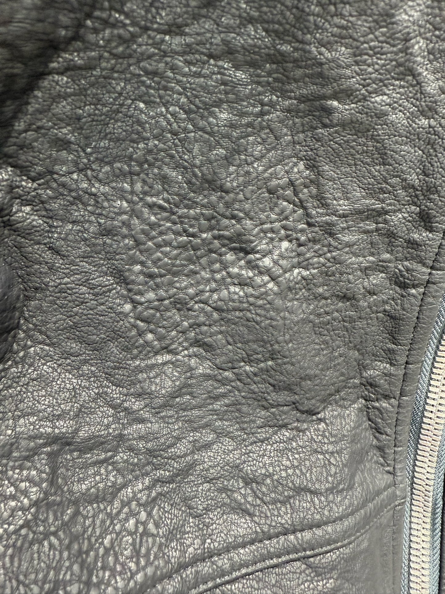 ADF Metalized Leather Jacket