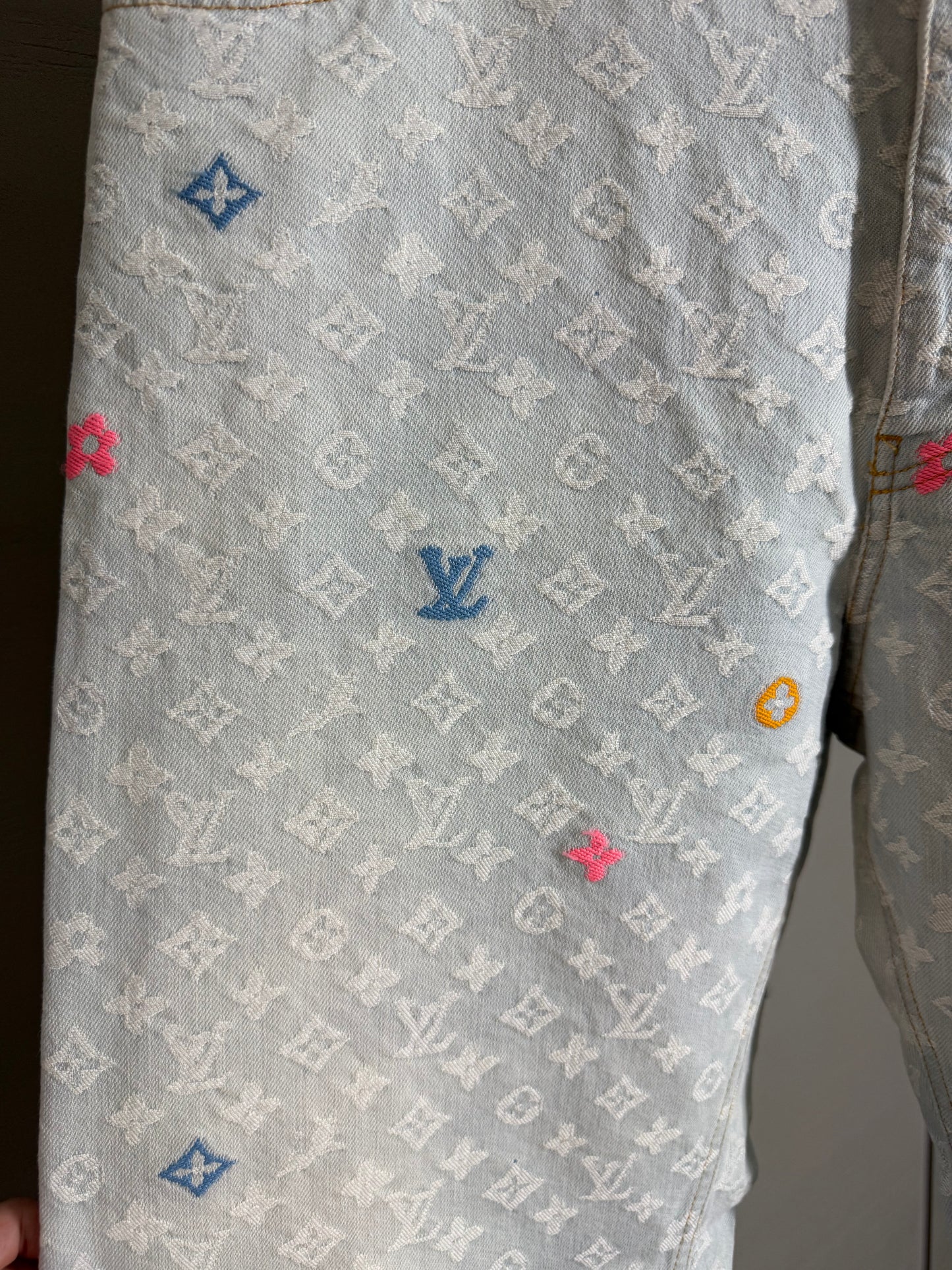 Louis Vuitton x Tyler The Creator Monogram Denim Pants
