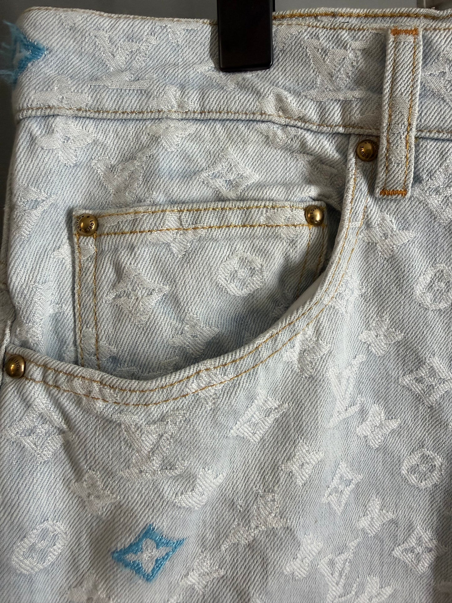 Louis Vuitton x Tyler The Creator Monogram Denim Pants
