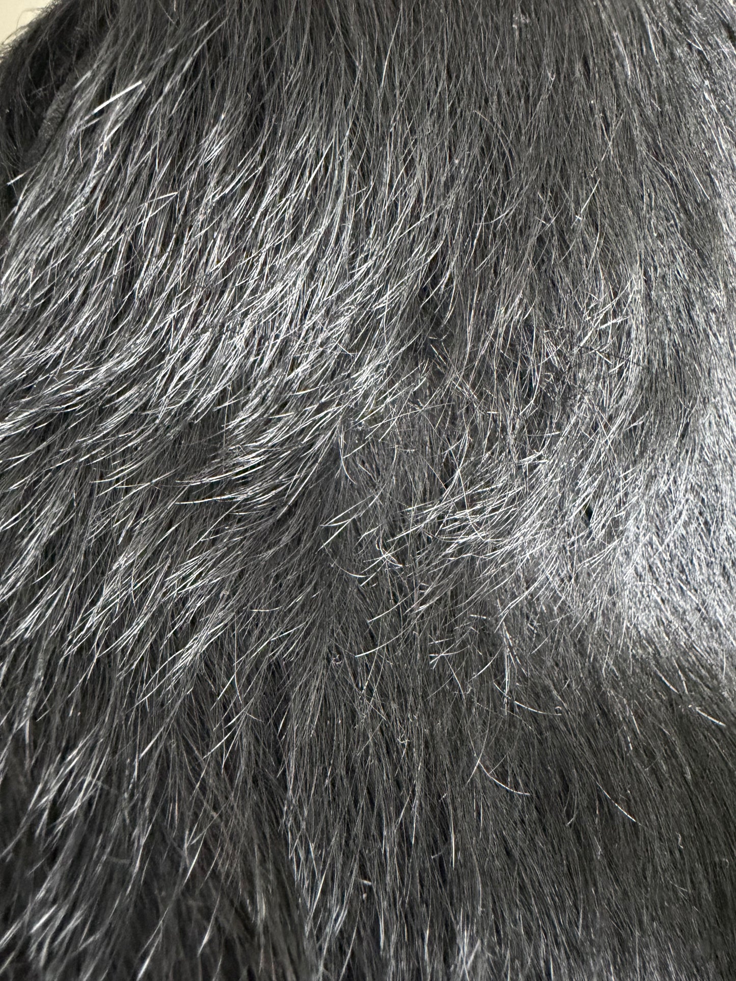 Rick Owens Pony Hair Ramones High Top